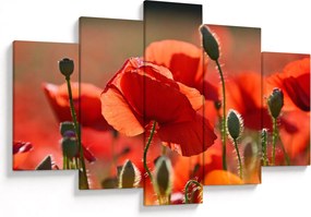 Tablou cu flori de maci (150x105 cm)