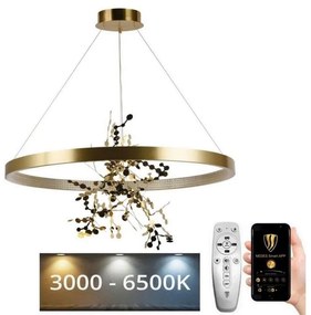 Lustră LED dimabilă pe cablu LED/55W/230V 3000-6500K auriu + telecomandă