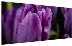Tablou cu flori de lalele (120x50 cm)