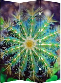 Paravan - Cactus (126x170 cm)
