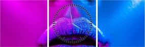 Tablou - Imaginea buzelor colorate (cu ceas) (90x30 cm)
