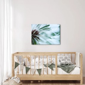 Tablou - Detaliu floare (70x50 cm)