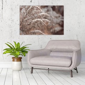 Tablou cu plante (90x60 cm)