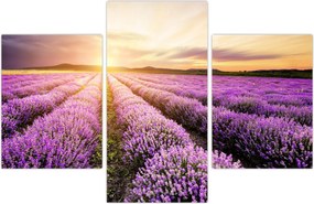 Tablou - Răsărit de soare în câmp de lavandă (90x60 cm)