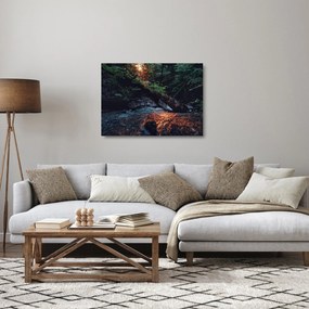 Tablou pe sticlă cu râu montan (70x50 cm)