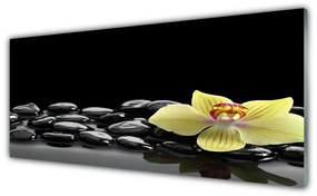 Tablouri acrilice Pietre de flori Bucătărie Galben Negru