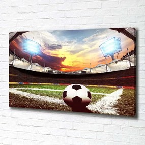 Pictură pe pânză Stadion de fotbal