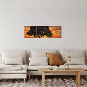 Tablou cu pomi și apus de soare (cu ceas) (90x30 cm)