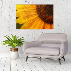 Tablou - Floarea-soarelui (90x60 cm)