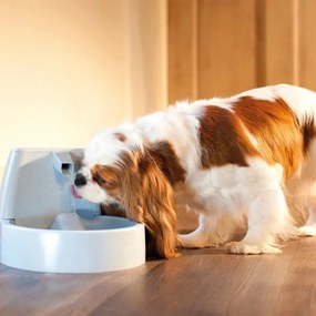 PetSafe® Original Fântână 1,5 l