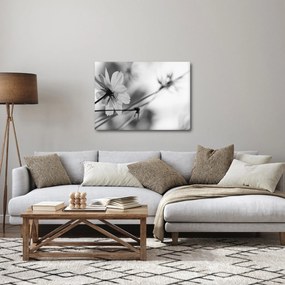 Tablou - Flori alb-negru (70x50 cm)