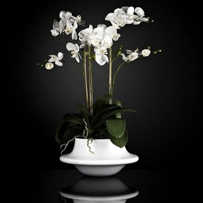 Aranjament floral elegant ATOLLO 3 WITH PHALENOPSIS BIG 1141263.95