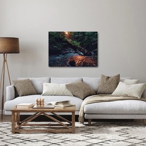 Tablou cu râu montan (70x50 cm)