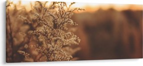 Tablou - Iarba înflorită (120x50 cm)