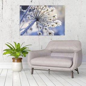 Tablou - Flori înghețate (90x60 cm)