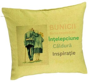 Perna Decorativa pentru Bunici 8, 40x40 cm, Verde, Husa Detasabila, Burduf