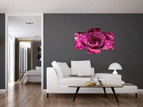 Tabloul cu floarea trandafirului roz (90x60 cm)
