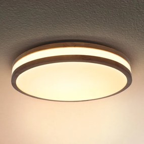 Plafonieră LED Brilagi MOLINA LED/24W/230V stejar