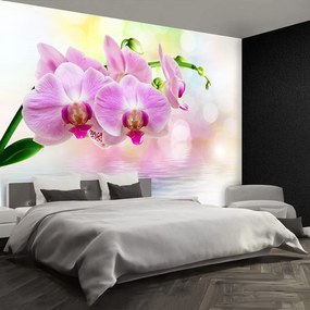 Fototapet Orchid Roses