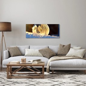 Tablou cu bulină înghețată (120x50 cm)