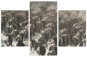 Tablou - Turmă de antilope sălbatice (90x60 cm)