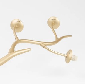 Lustră LED aplicată Brilagi MISTEL 6xG9/3W/230V auriu