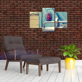 Tablou cu veteran turcoaz (90x60 cm)