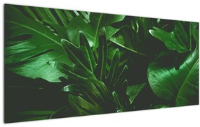 Tablou - Frunze de palmier (120x50 cm)