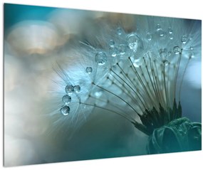 Tablou - păpădie - petrol (90x60 cm)