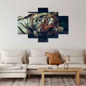 Tablou - Tigrul Siberian (150x105 cm)