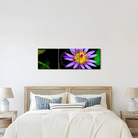 Tablou cu floare (cu ceas) (90x30 cm)