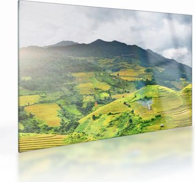 Tablou pe sticlă plantație (70x50 cm)
