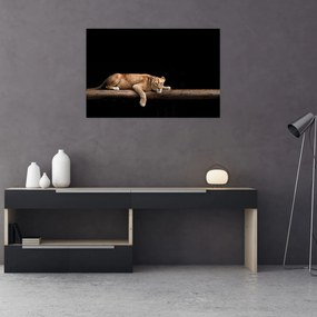 Tablou - Lioness (90x60 cm)