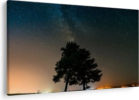 Tablou cu cerul nocturn și copaci (90x60 cm)