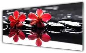 Tablou pe sticla Pietrele florale flori Roșu Negru