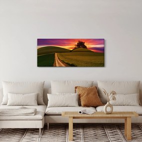 Tablou cu câmp și cerul colorat (120x50 cm)