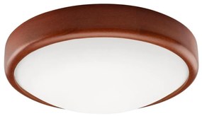 LED Plafonieră 1xLED/12W/230V