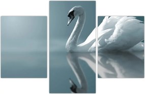 Tablou -Lebădă albă (90x60 cm)