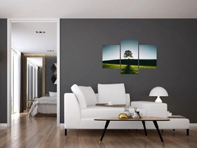 Tablou cu natura - copac (90x60 cm)