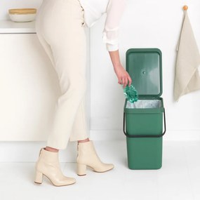 Cos de gunoi colectare selectiva Brabantia Sort&Go 1003236, 25 L, Maner, Montabil pe perete, Verde inchis