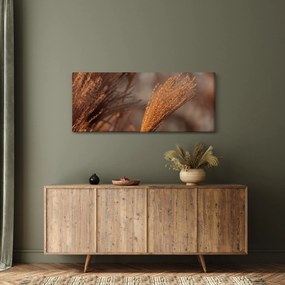 Tablou - Cortaderie (120x50 cm)
