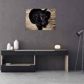 Tablou pe sticlă cu cățeluș negru (70x50 cm)