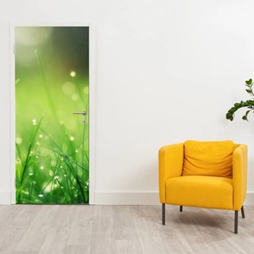 Fototapet pentru ușă - Rouă pe iarbă (95x205cm)