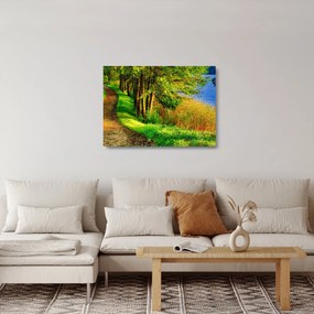 Tablou pe sticlă - poteci pe malul apei (70x50 cm)
