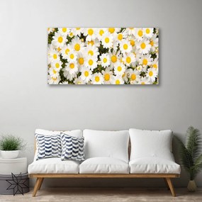 Tablou pe panza canvas Daisy Floral Galben Alb