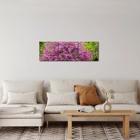 Tablou cu pom înflorit pe luncă (cu ceas) (90x30 cm)