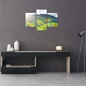 Tablou plantație (90x60 cm)
