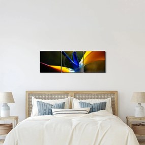 Tablou - Floare exotică (cu ceas) (90x30 cm)
