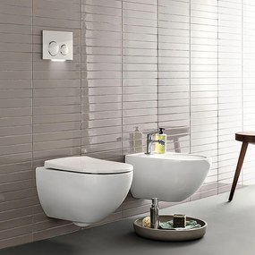 Capac wc soft close Geberit, Acanto