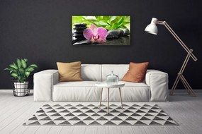 Tablou pe panza canvas Pietrele florale flori Roșu Negru